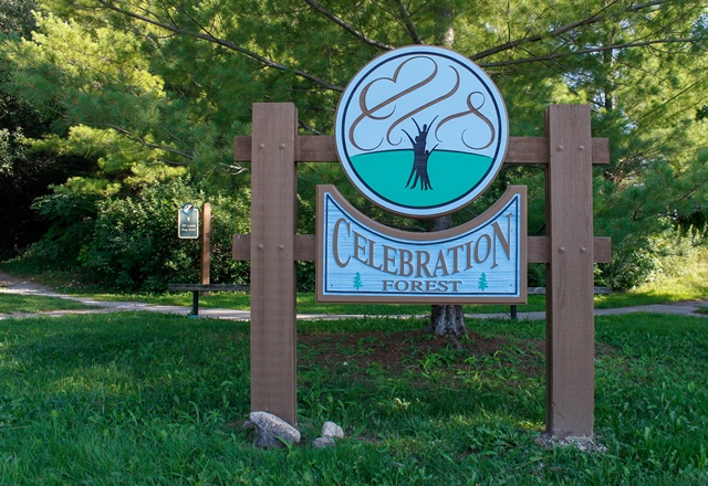 Phyllis Rawlinson Park Celebration Forest