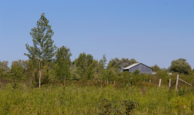 Phyllis Rawlinson Park Barn in the Field