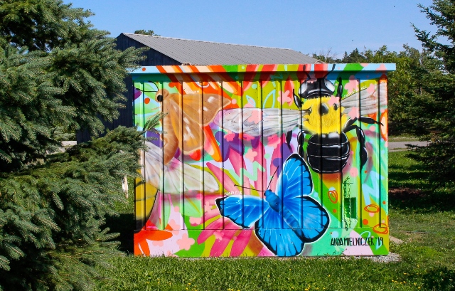 Phyllis Rawlinson Park Colourful Shed