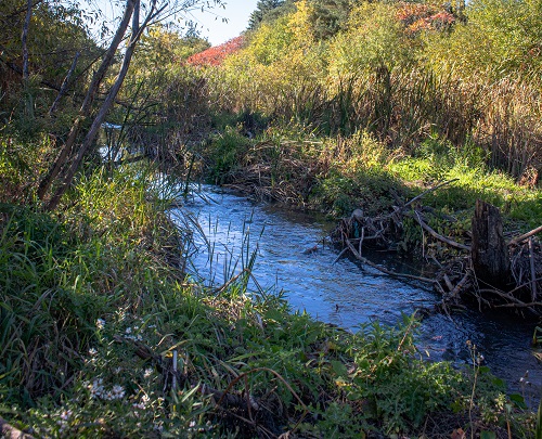 Russell Farm Park