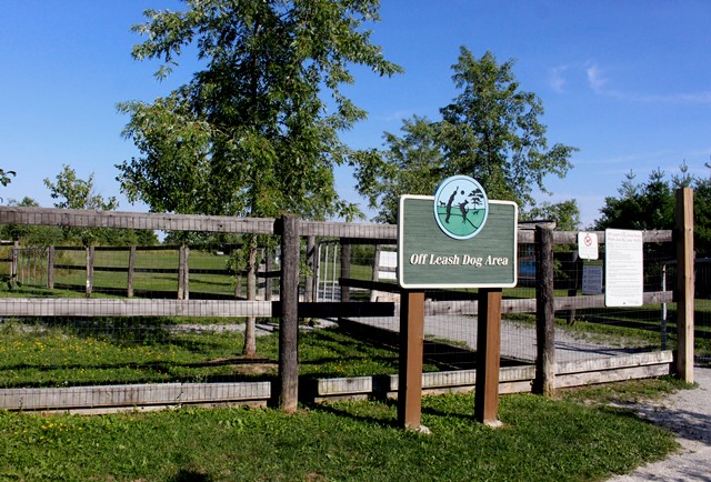 Phyllis Rawlinson Park Off Leash Dog Park