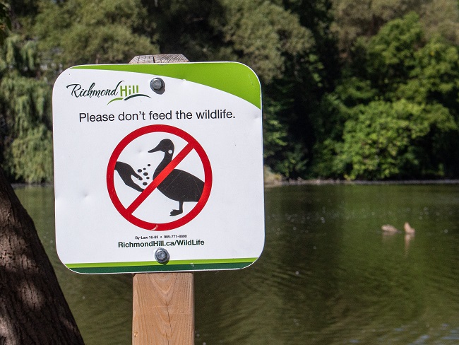 Mill Pond Park - Don't Feed the Wildlife sign