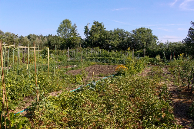 Phyllis Rawlinson Park Garden