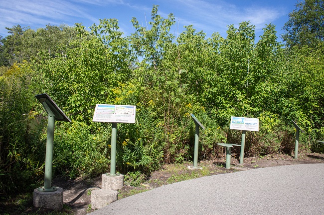 Mill Pond Park - interpretive signs