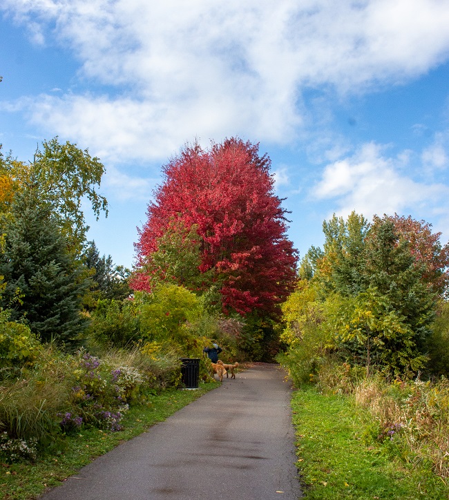 Pioneer Park