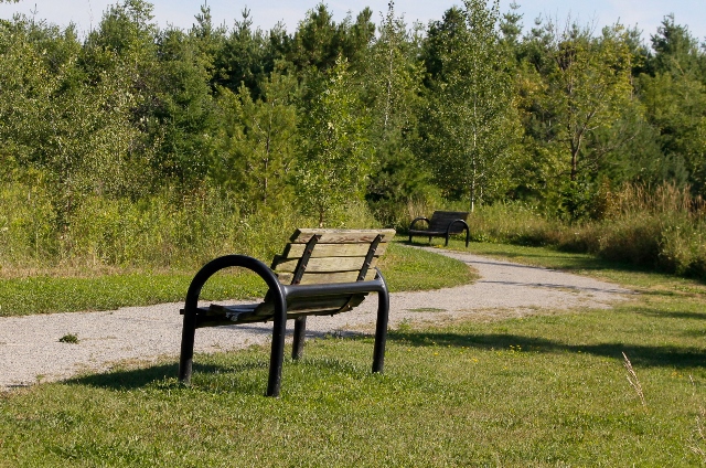 Phyllis Rawlinson Park Path and benches