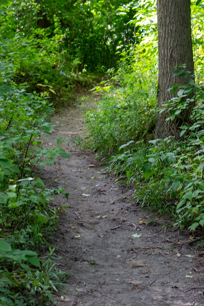 Mill Pond Park