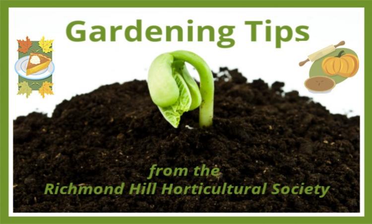 Gardening Tips - Pumpkin recipes