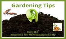 Gardening Tips - Halloween Style
