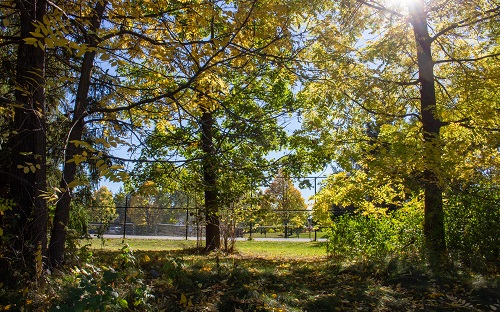 Russell Farm Park - tennis courts